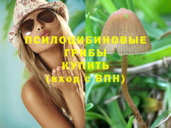 каннабис Аркадак
