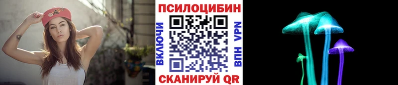 где купить наркоту  Цивильск  hydra tor  Псилоцибиновые грибы мицелий 